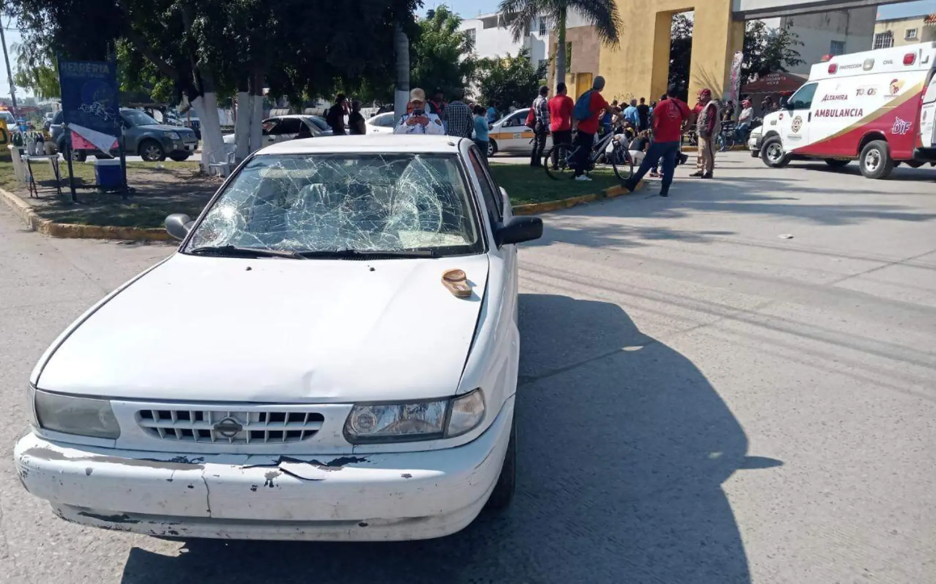 Amarraron a una palmera a conductor por el atropellamiento múltiple de mujeres en Altamira